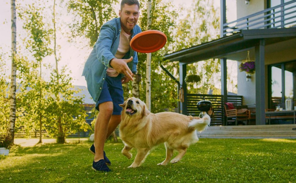 Games to Play with Your Dog Outside