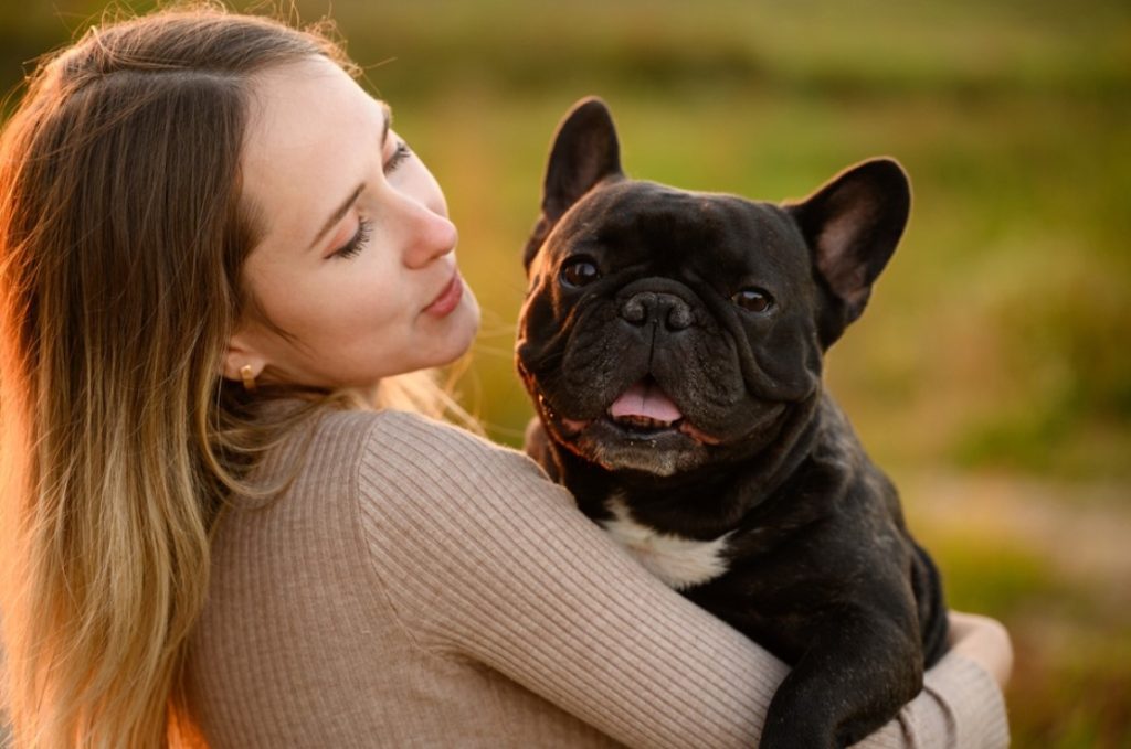 Best Food for French Bulldogs with Sensitive Stomach