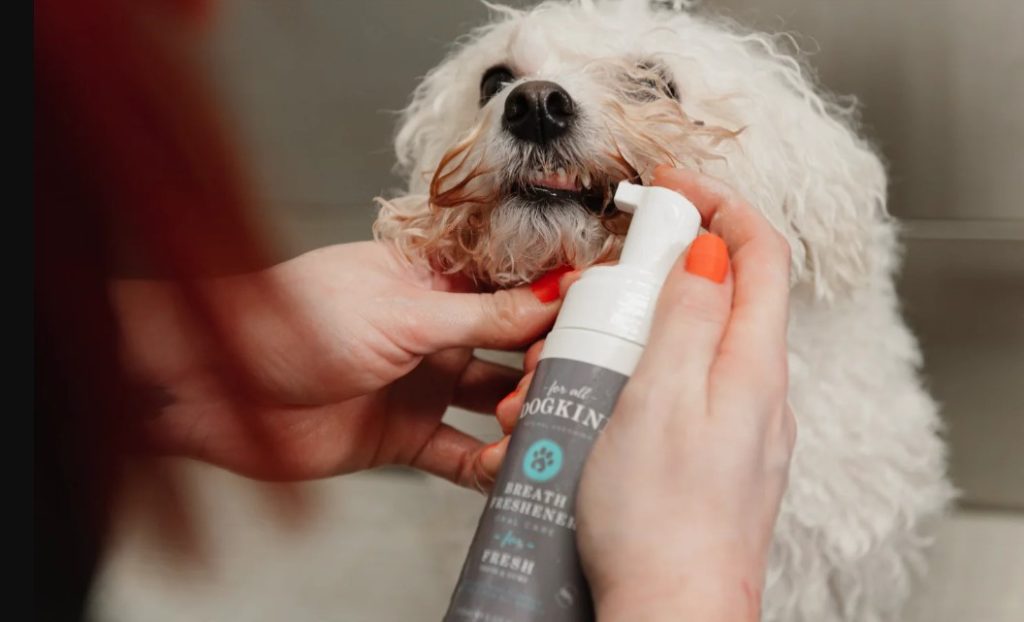 Best Dog Breath Fresheners