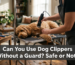 Dog Clippers Without a Guard