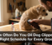 How Often Do You Oil Dog Clippers