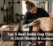 Professional groomer using Andis dog clipper on a dog in grooming studio