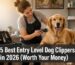 First-time dog owner grooming a Golden Retriever using the best entry level dog clippers in 2026.