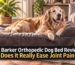 Senior Golden Retriever resting on a Big Barker orthopedic dog bed in a modern home.
