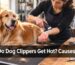 Dog groomer checking hot clipper blade while grooming a Golden Retriever safely
