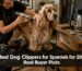 English Cocker Spaniel being professionally groomed with cordless dog clippers for thick coats.