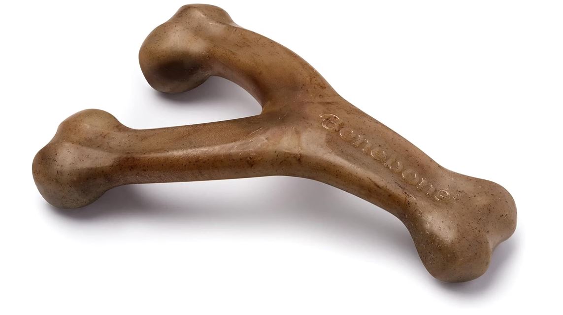 Benebone Wishbone Review