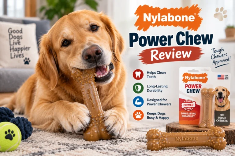 Nylabone Power Chew Review