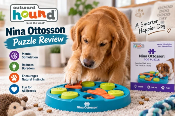 Outward Hound Nina Ottosson Puzzle Review