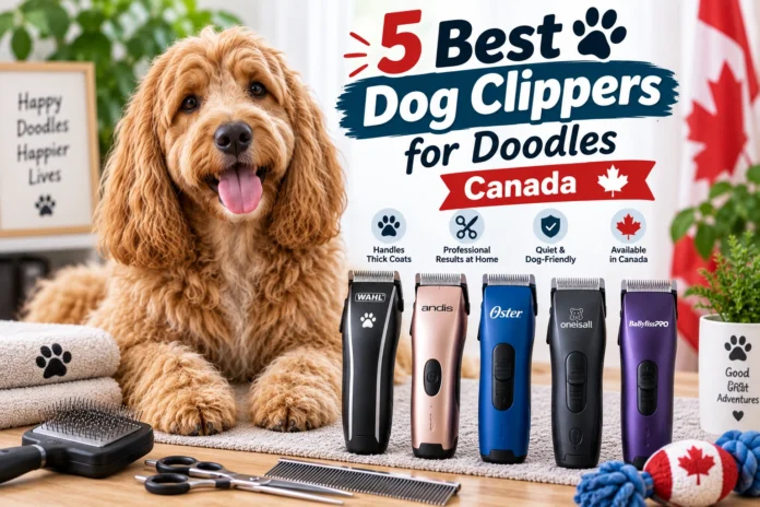 Best Dog Clippers for Doodles Canada