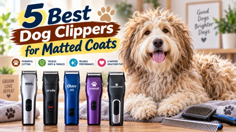 Best Dog Clippers for Matted Coats