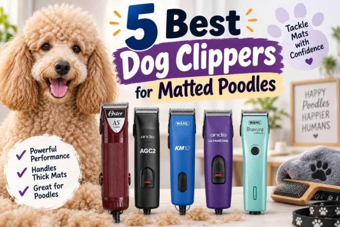 Best Dog Clippers for Matted Poodles