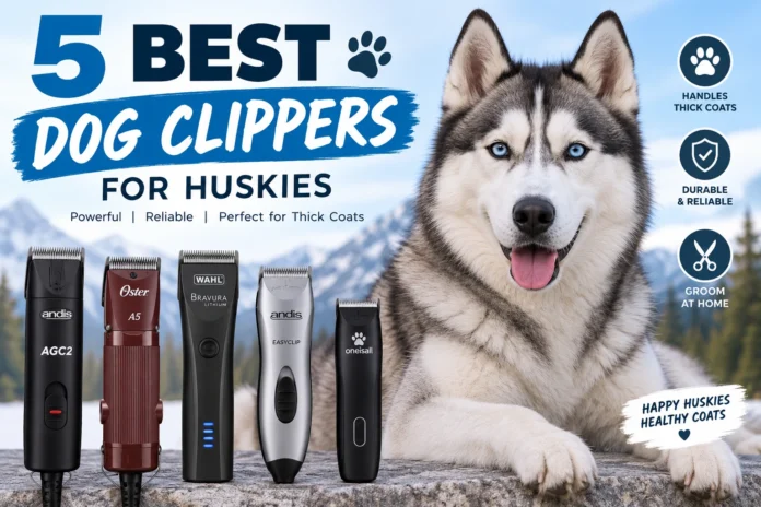 Best Dog Clippers for Huskies