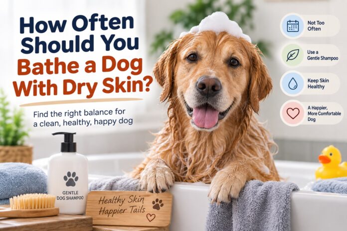 Golden Retriever in a bathtub with gentle dog shampoo and text explaining how often to bathe a dog with dry skin.