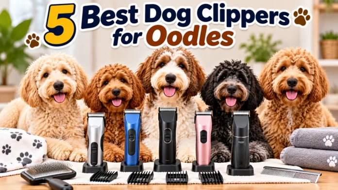 Best Dog Clippers for Oodles