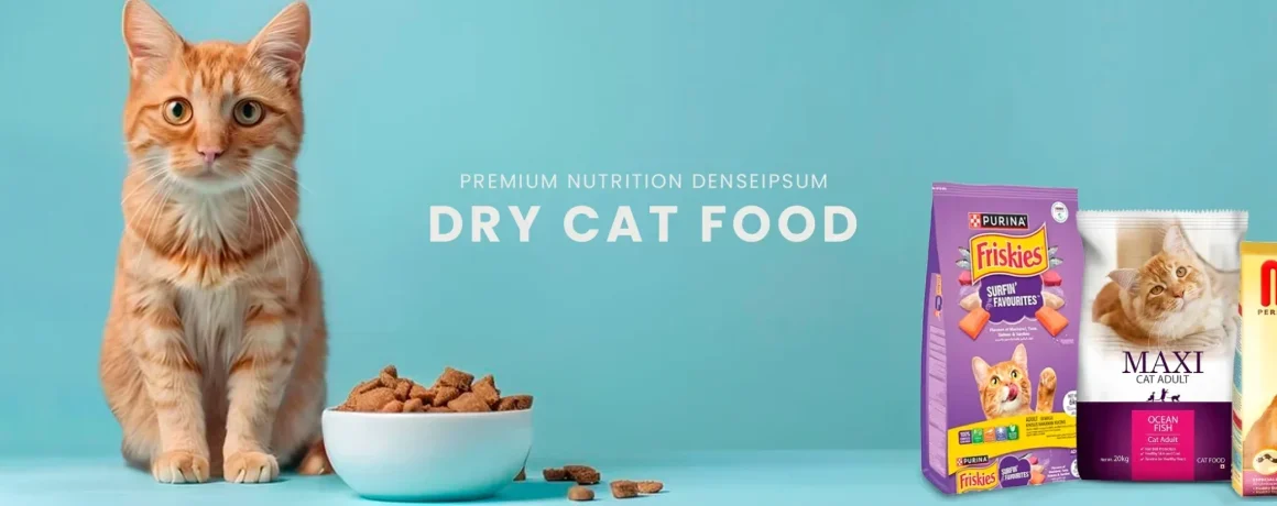 cat-food-banner-scaled-r0yxl7y55ivki96f8z1i9ypma1q6spuvm8vfwldv5k